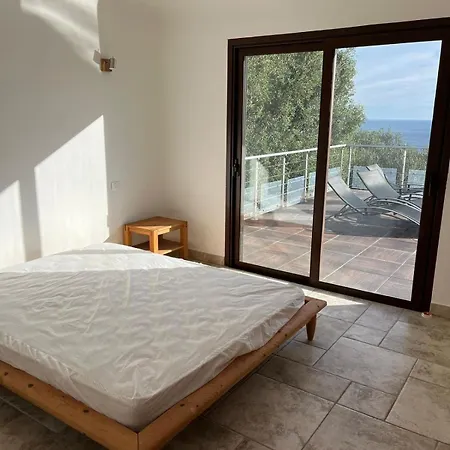Avec Vue Et Piscine A Debordement Villa Zonza