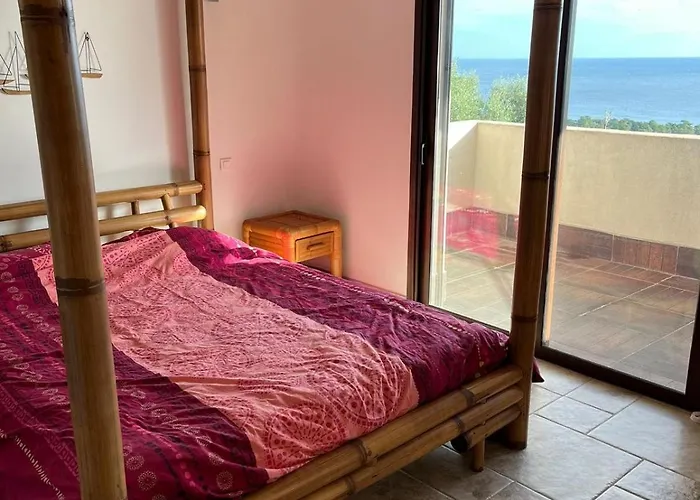 Avec Vue Et Piscine à Débordement Villa Zonza