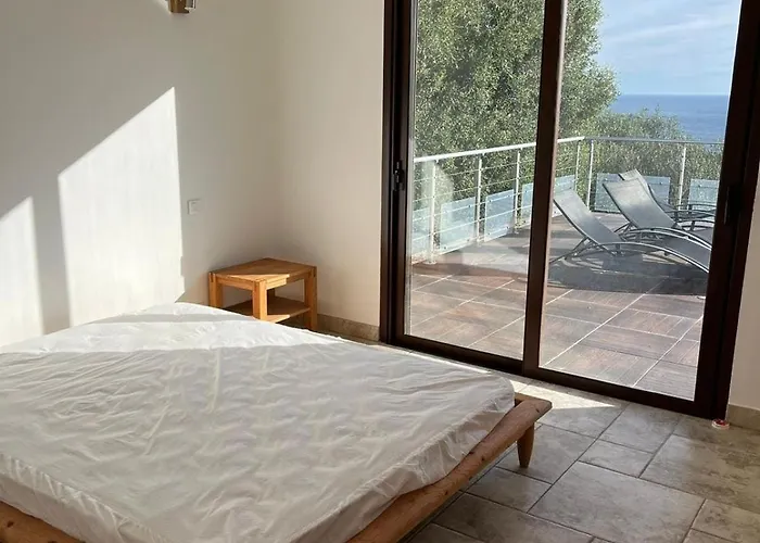 Avec Vue Et Piscine A Debordement Villa Zonza