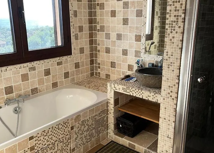 Avec Vue Et Piscine A Debordement Zonza